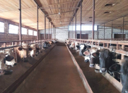 Satılır 1 otaqlı 5000 m2 obyekt Binə