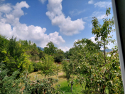 Satılır 10 sot torpaq Qəbələ