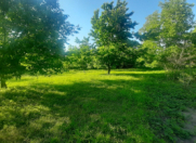 Satılır 8 sot torpaq Quba