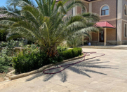 İcarəyə verilir 6 otaqlı 300 m2 bağ evi Bilgəh