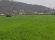 Satılır 82 sot torpaq Qəbələ