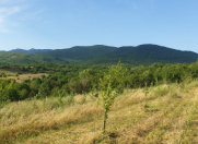 Satılır 480 sot torpaq İsmayıllı