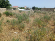 Satılır 10 sot torpaq Nardaran