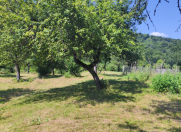 Satılır 24 sot torpaq İsmayıllı