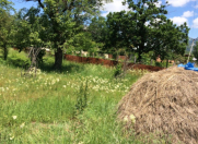 Satılır 8 sot torpaq İsmayıllı