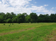 Satılır 28 sot torpaq Xaçmaz