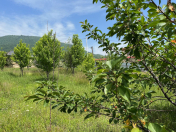 Satılır 8 sot torpaq İsmayıllı