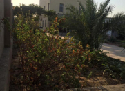 İcarəyə verilir 6 otaqlı 270 m2 bağ evi Buzovna