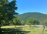 Satılır 32 sot torpaq Qəbələ