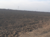 Satılır 11996 sot torpaq Salyan