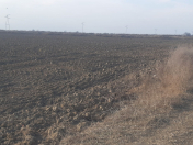 Satılır 667 sot torpaq Salyan