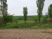 Satılır 8 sot torpaq Quba