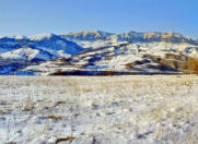 Satılır 130 sot torpaq Qusar