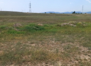 Satılır 98 sot torpaq Gəncə