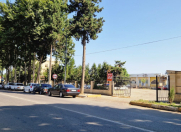 Satılır 64 sot torpaq Masallı