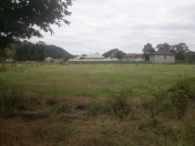 Satılır 19 sot torpaq Lənkəran