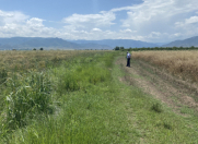 Satılır 53 sot torpaq Tovuz