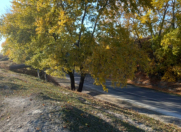 Satılır 20 sot torpaq Oğuz