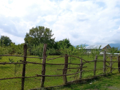 Satılır 20 sot torpaq Qəbələ