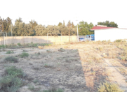 Satılır 10 sot torpaq Şirvan