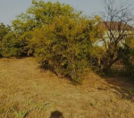 Satılır 9 sot torpaq Ağstafa