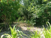 Satılır 20 sot torpaq İsmayıllı