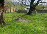 Satılır 9 sot torpaq Qəbələ