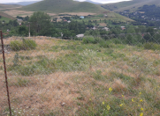 Satılır 24 sot torpaq Gədəbəy