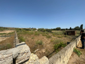 Satılır 24 sot torpaq Nardaran