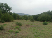 Satılır 50 sot torpaq İsmayıllı