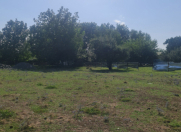 Satılır 10 sot torpaq Qəbələ