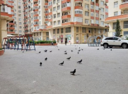 Satılır 3 otaqlı 147 m2 yeni tikili 8 km