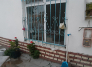 Satılır 1 otaqlı 52 m2 bağ evi Ləhic Bağları