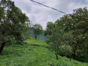 Satılır 10 sot torpaq Quba