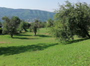 Satılır 150 sot torpaq Quba