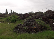 Satılır 400 sot torpaq Lənkəran