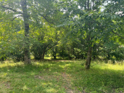 Satılır 10 sot torpaq Qəbələ