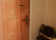 İcarəyə verilir 1 otaqlı 40 m2 köhnə tikili 5 mkr