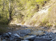 Satılır 6 sot torpaq İsmayıllı