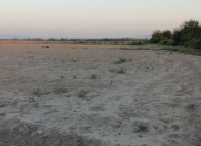 Satılır 4 sot torpaq Qəbələ