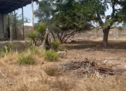 Satılır 3 otaqlı 13 m2 köhnə tikili Mərdəkan