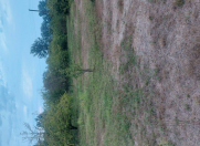 Satılır 10 sot torpaq Xaçmaz