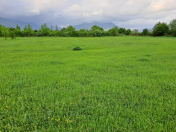 Satılır 10 sot torpaq Qəbələ