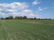 Satılır 1500 sot torpaq Qəbələ