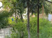 Satılır 9 sot torpaq Lənkəran