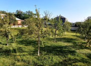 Satılır 13 sot torpaq Qəbələ