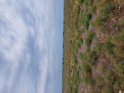 Satılır 203 sot torpaq Siyəzən