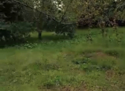 Satılır 11 sot torpaq Qəbələ