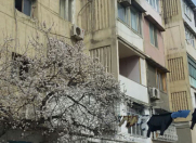 Satılır 3 otaqlı 75 m2 köhnə tikili İnşaatçılar m.