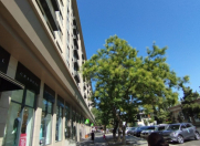 İcarəyə verilir 2 otaqlı 70 m2 köhnə tikili Gənclik m.